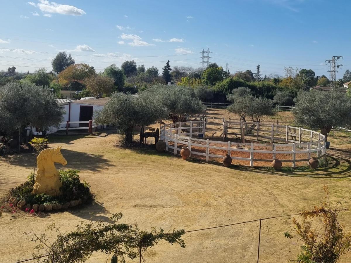סביליה Finca Rural La Canera 16 Huespedes מראה חיצוני תמונה
