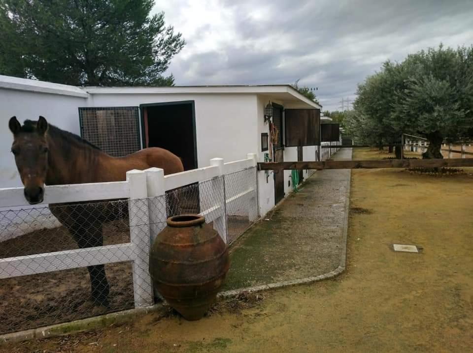סביליה Finca Rural La Canera 16 Huespedes מראה חיצוני תמונה